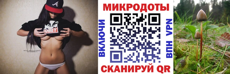 Галлюциногенные грибы Psilocybe  Гурьевск 