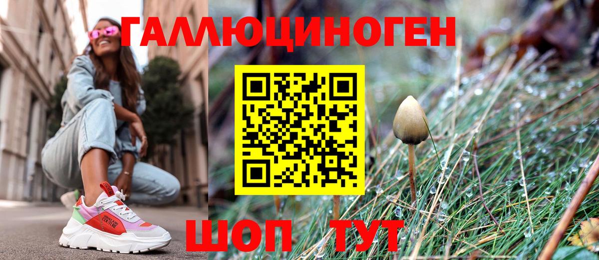 Галлюциногенные грибы GOLDEN TEACHER  Вход с VPN  Гурьевск 